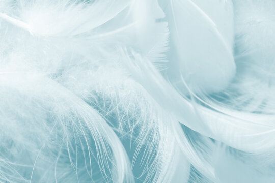 Beautiful green turquoise vintage color trends feather pattern texture background