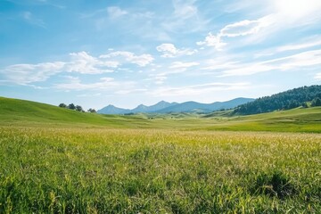 Fototapeta premium Serene countryside landscape featuring rolling fields and clear blue sky promoting relaxation and peace rural getaway nature photography