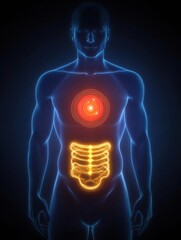 Glowing human torso highlighting red focal point in stomach area against dark background. Generative AI