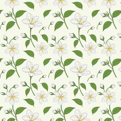 Colorful Floral Pattern with Leaves, Cute Small Flowers on Seamless Background, Jasmine Flower Pattern
