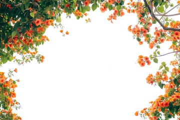 Orange Flowers Bloom Frame, Nature's Beauty