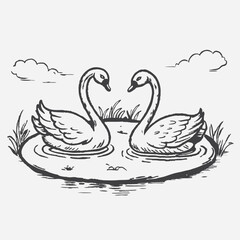 Fototapeta premium vector illustration of two swans in love on the water in lumps, Couple swan on a white background
