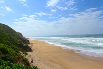 Where the jungle meets the ocean 
