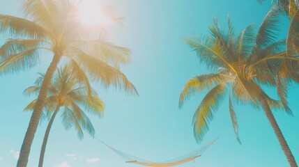 Hammock between two palm trees under a bright sun