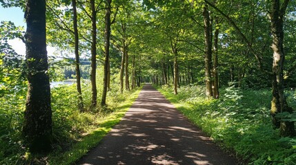 Fototapeta premium Enchanting forest path inviting peaceful walks in nature's embrace lush greenery landscape photography serene environment