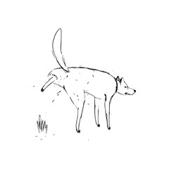 A humorous minimalist black-and-white line drawing of a dog urinating near a small patch of grass. This playful and creative sketch showcases a unique perspective of canine behavior in a modern style.
