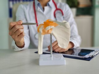 Medical professional demonstrates shoulder anatomy model during consultation in clinic concept