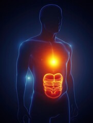 Glowing human torso showcasing a bright red focal point in the stomach area during a conceptual health visualization. Generative AI