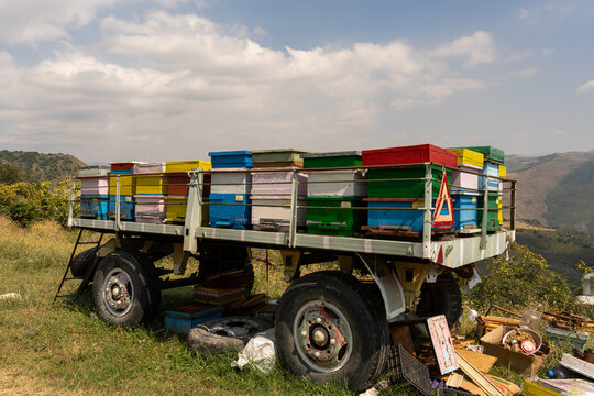 A truck is parked on a grassy hillside with a large number of beehives on the back - Powered by Adobe