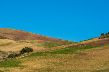 val d'agri, basilicata: spring countryside landscape