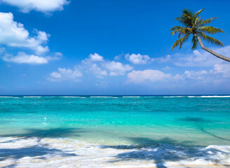 The tropical  white sand beach with  Aqua waves and coconut palm tree as shadow on blue background.