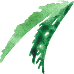 Watercolor painted flower leaves Hand drawn flower design element isolated on white background