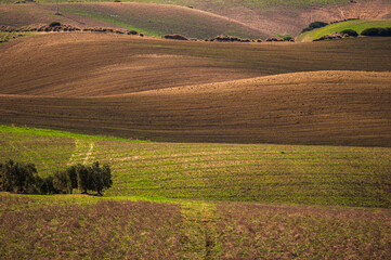 Obraz premium val d'agri, basilicata: spring countryside landscape