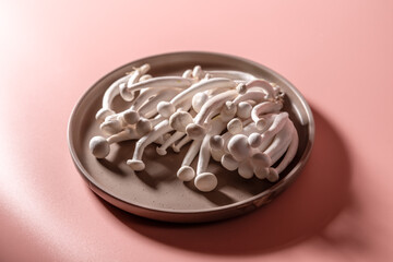 shimeji mushrooms on the plate, on pink, peach fuzz background