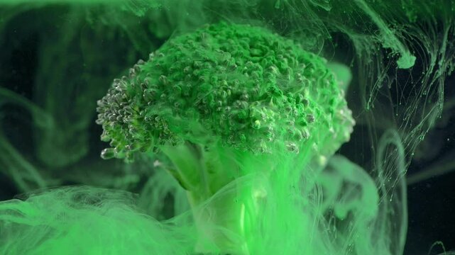 Fresh broccoli with a cloud of green color paint on black background. Artistic nutrition concept footage. 4K, Creative concept of vegetarianism, benefits of vegetables