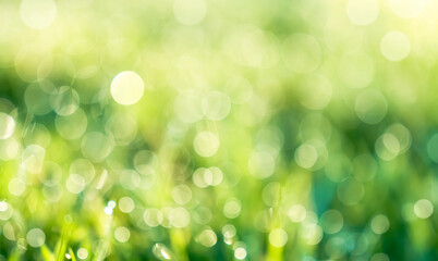 Fototapeta premium Bokeh background,Abstract texture pattern of summer nature,Image landscape defocus of light and leaf forest.Nature background blurred white sunlight circle effect on green foliage in garden at park