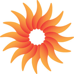 flower isolated on white 