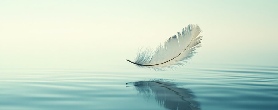 Fototapeta A minimalist concept of a feather floating over a still pool of water, 4k photo.