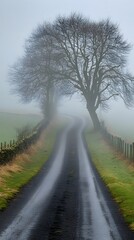 Fototapeta premium Foggy road lined with trees, creating a mysterious and serene atmosphere.