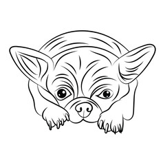 Cute Puppy in Garden Coloring Page for Kids, Fun Printable Animal Cartoon Illustration.