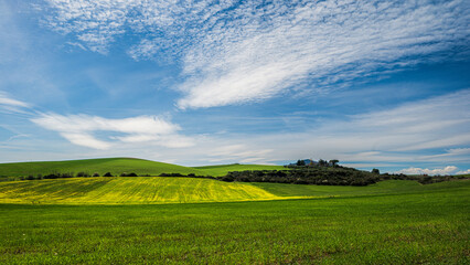 Matera province: spring countryside landscape 