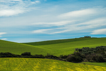Matera province: spring countryside landscape 