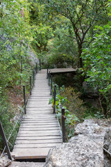 Wooden slat walkway and iron cable railing for pedestrians to cross in the mountain between forest of tall trees
