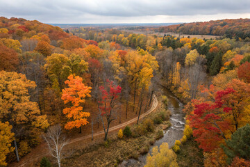 Obraz premium Aerial view of a forest in autumn