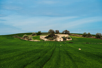 Obraz premium Matera province: spring countryside landscape 