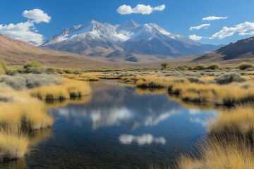 Mountain lake reflection with yellow grasses.