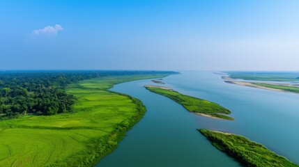 Aerial view of a lush river landscape