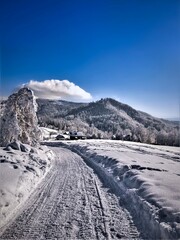 Zimowa podróż zaśnieżoną drogą pod błękitnym niebem © Oliwia