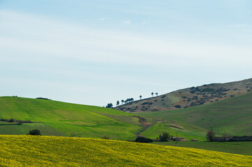 Fototapeta premium Matera province: spring countryside landscape 