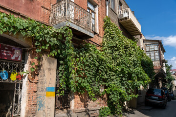 Fototapeta premium A building with ivy growing on it. The ivy is green and is covering the side of the building