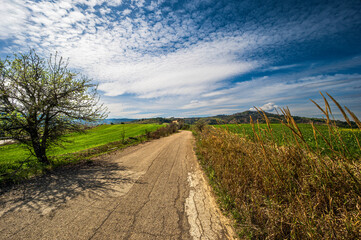 Matera province: spring countryside landscape 