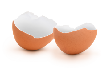 Eierschale 2