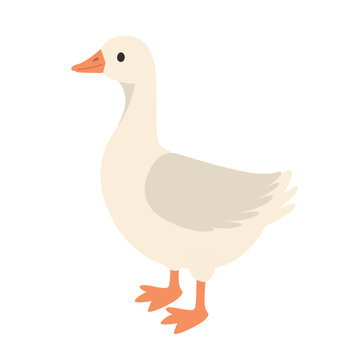 cute white goose or duck icon - vector illustration
