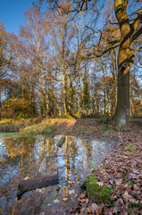 Wide Angle HDR Lake and Trees in Solihull