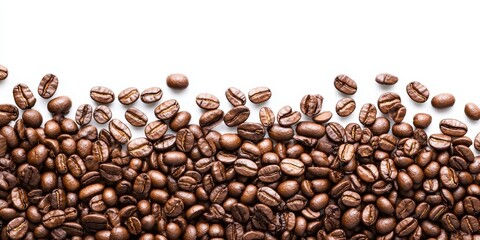 Top view of a rich brown roasted coffee bean spread on a clean white background with ample negative space for text placement.
