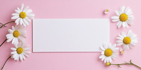 White rectangular frame centered on a pink background with assorted daisies arranged around the edges in a flat lay composition.