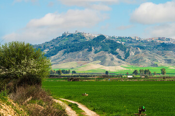 Matera province: spring countryside landscape 