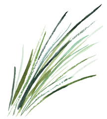 Fototapeta premium Watercolor thin tiny green grass leaves isolated illustration, botanical wedding element