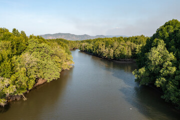 Obraz premium Aerial view of a lush mangrove forest with a winding river, showcasing the beauty of nature and the importance of preserving these vital ecosystems.