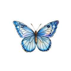 Blue Morpho Butterfly: A mesmerizing blue morpho butterfly with iridescent wings against a white background, showcasing its captivating beauty and intricate details. 