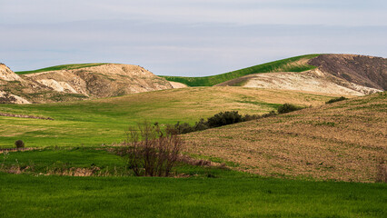 Obraz premium Matera province: spring countryside landscape 