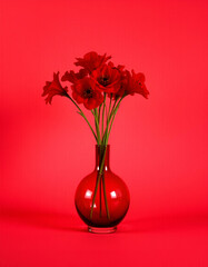 Fototapeta premium flowers in vase on red background