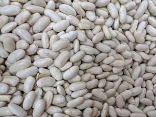 onions, vegetables, natural, tasty, autumn, stall, beautiful, fo