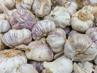 garlic, vegetables, natural, tasty, autumn, stall, beautiful, fo