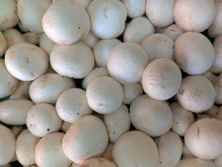 mushrooms, fungi, white, caps, natural, food, nutrition, stall,