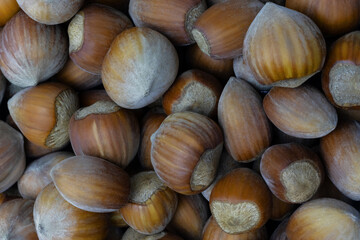 Background of raw hazelnut in close-up